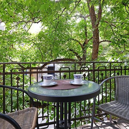 Apartment Paradise Sunny Home Belgrad Dış mekan fotoğraf