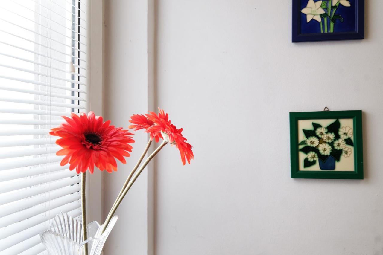 Apartment Paradise Sunny Home Belgrad Dış mekan fotoğraf